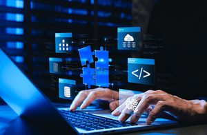 software system